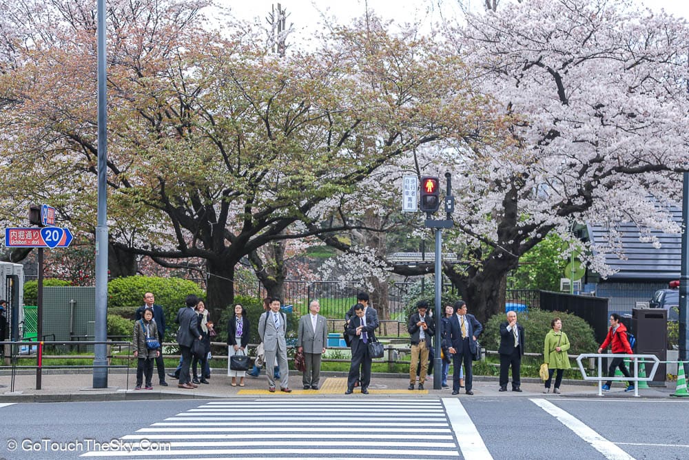 ทิวทัศน์สวนสุมิดะยามบ่าย