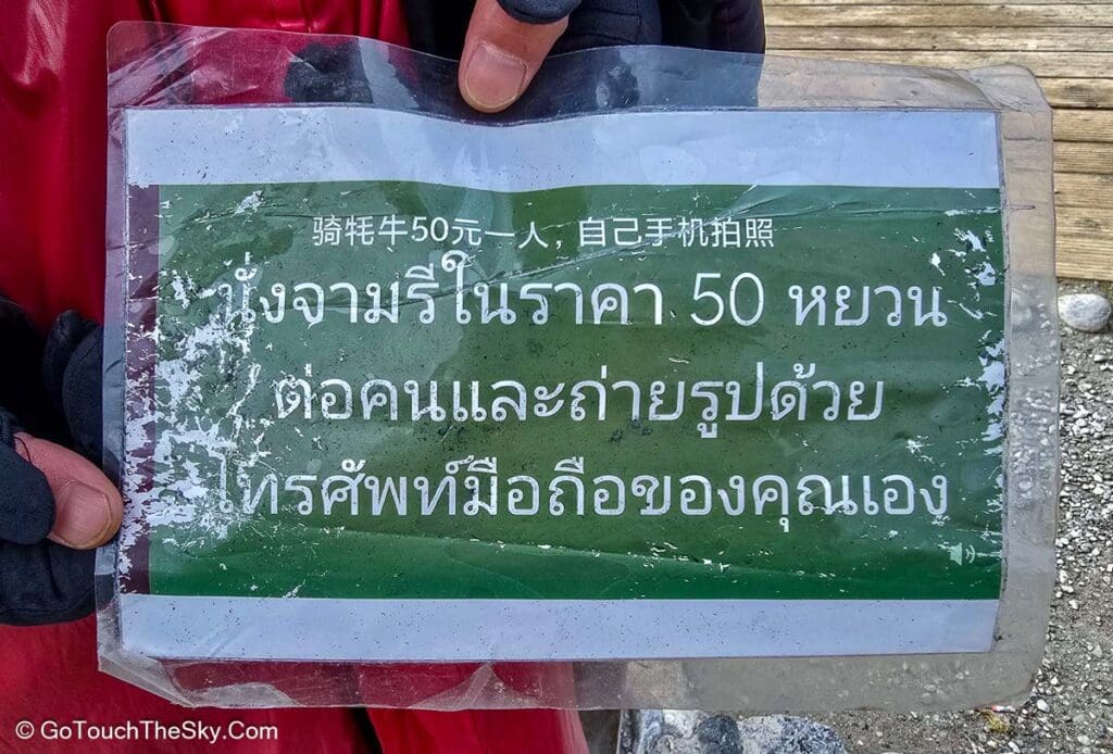 เจ้าของจามรีและน้อนจามรีที่จุดถ่ายรูปริมธารน้ำ
