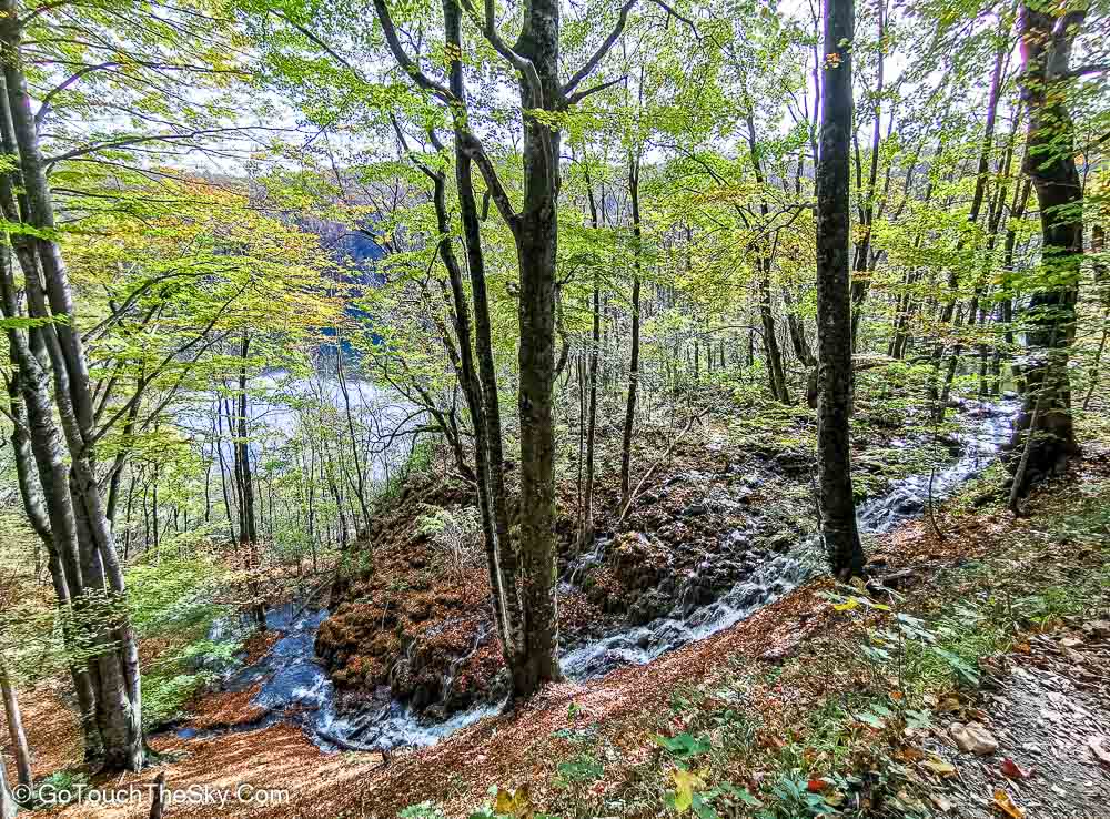 ทิวทัศน์ธารน้ำใส Upper Lakes