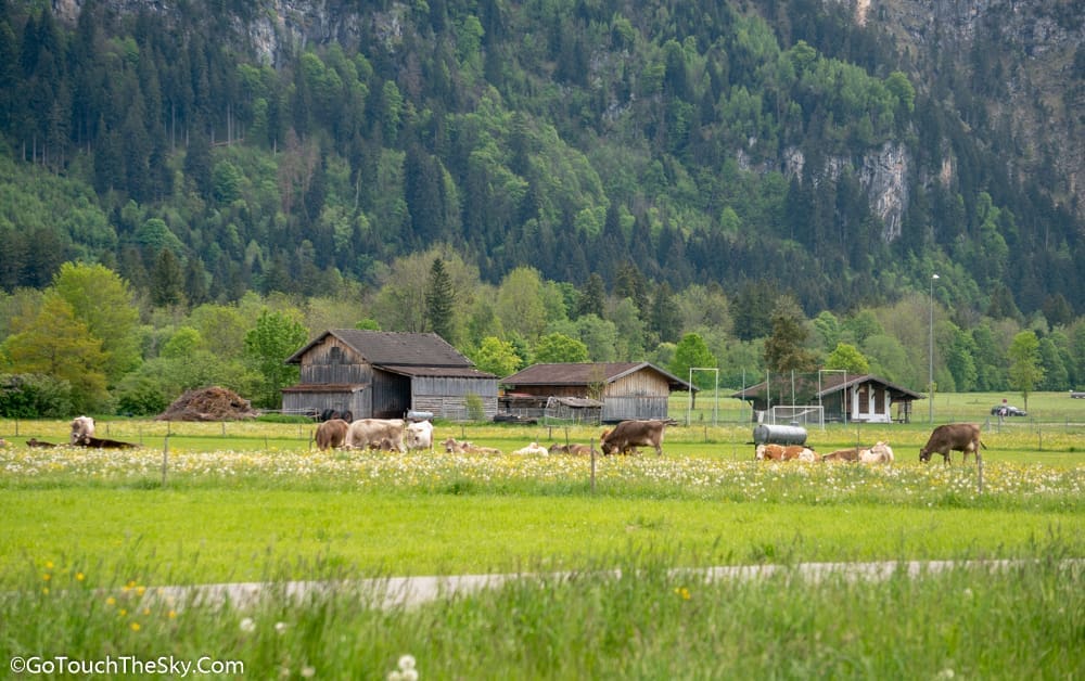 วิวเส้นทางสู่ Füssen
