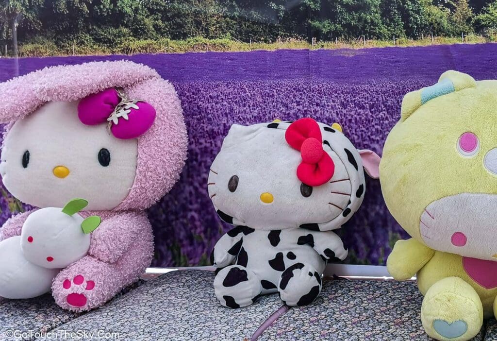 เมนูพิเศษของมื้อเที่ยงในทริป