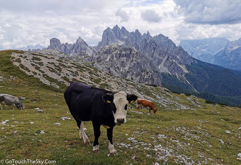 ใกล้ถึง Rifugio Auronzo ครบรอบวงกลม
