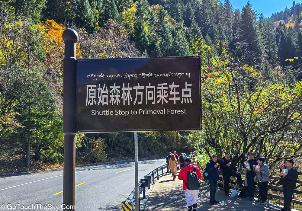 ป่าดึกดำบรรพ์และหน้าผาหินดาบ Sword Rock
