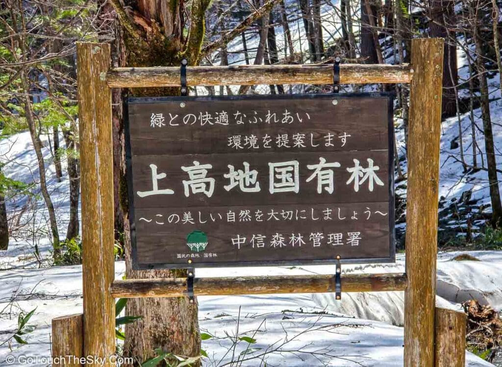 ทางเดินป่าสดชื่นในคามิโคจิ