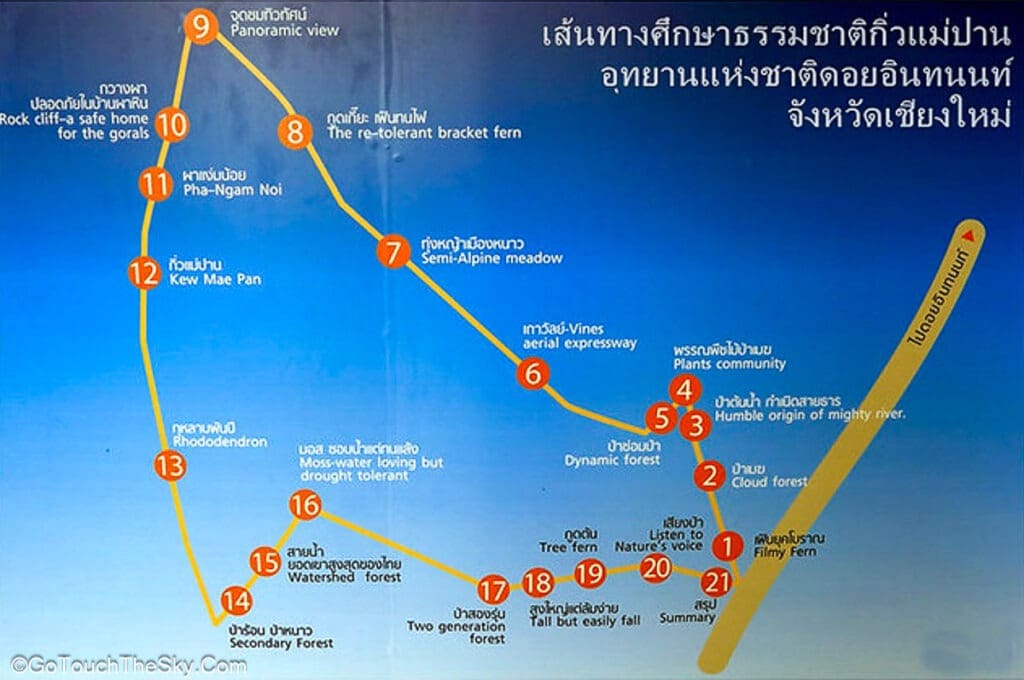 พัฒนาการเส้นทางกิ่วแม่ปานโดยมูลนิธิไทยรักษ์ป่า