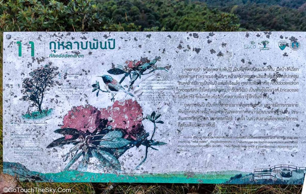ทิวทัศน์ทิวเขาจากทางเดินไหล่เขา