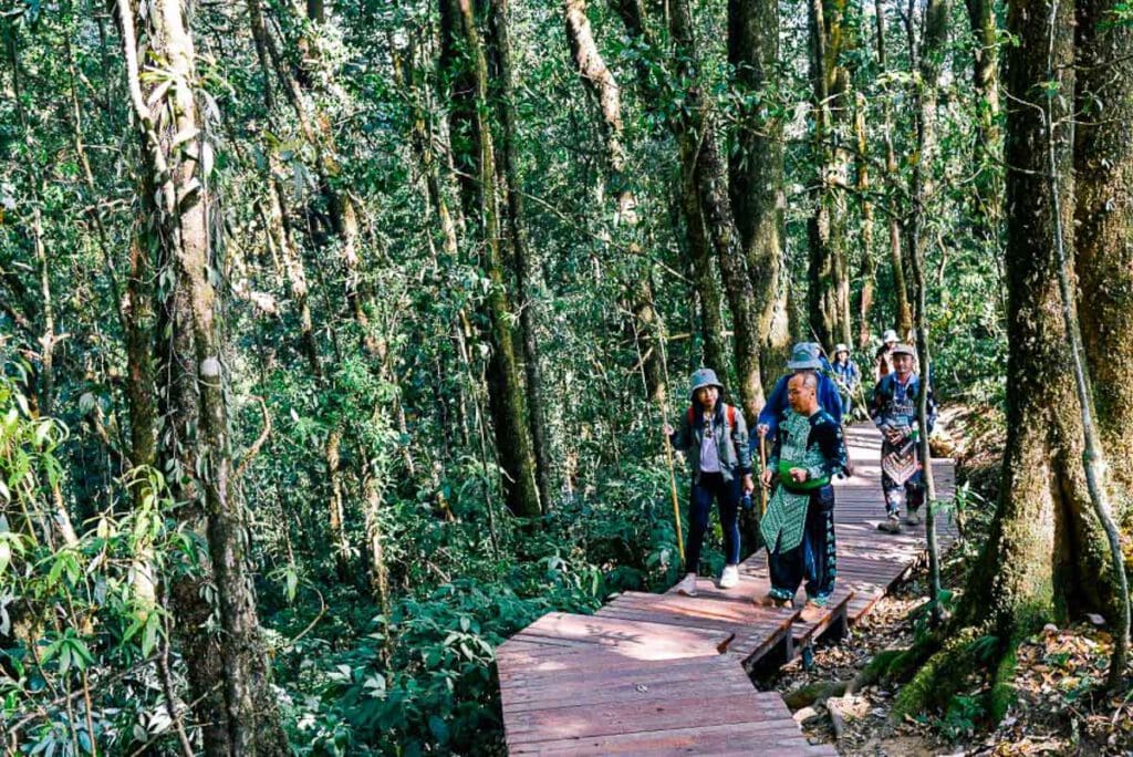 การปรับปรุงเส้นทางเดินไม้ Board Walk กิ่วแม่ปาน