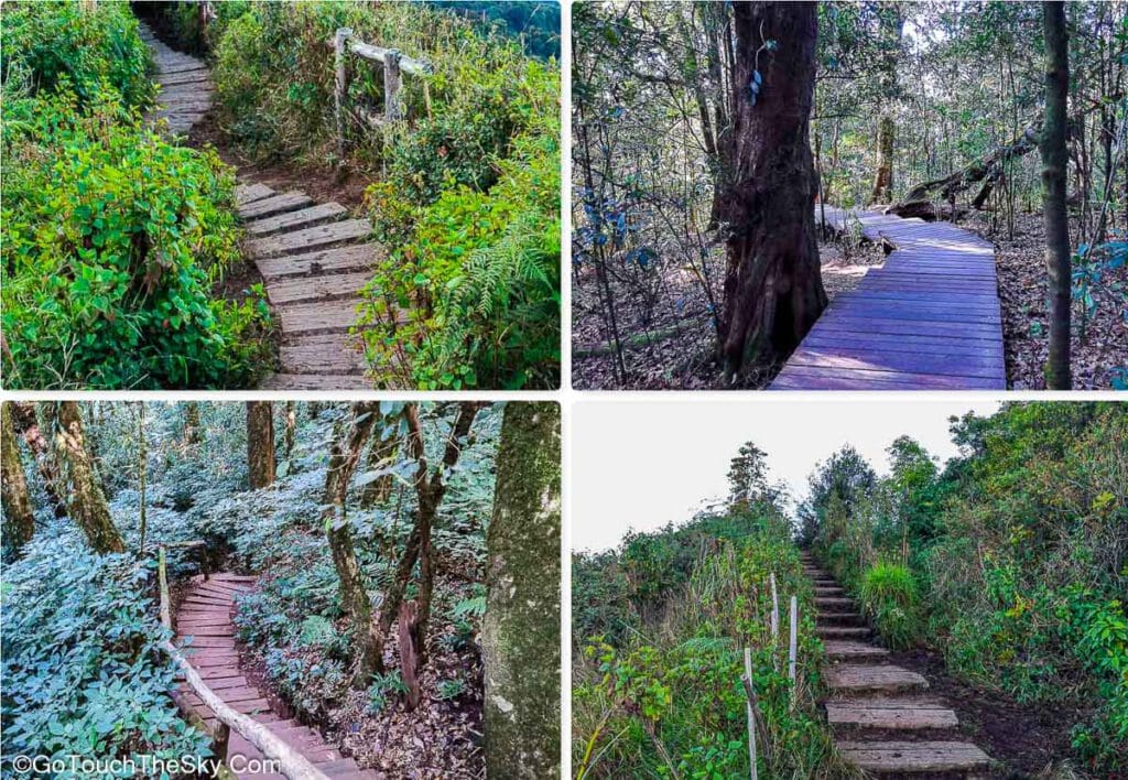 ทางเดินไม้ Board Walk ที่ปรับปรุงใหม่