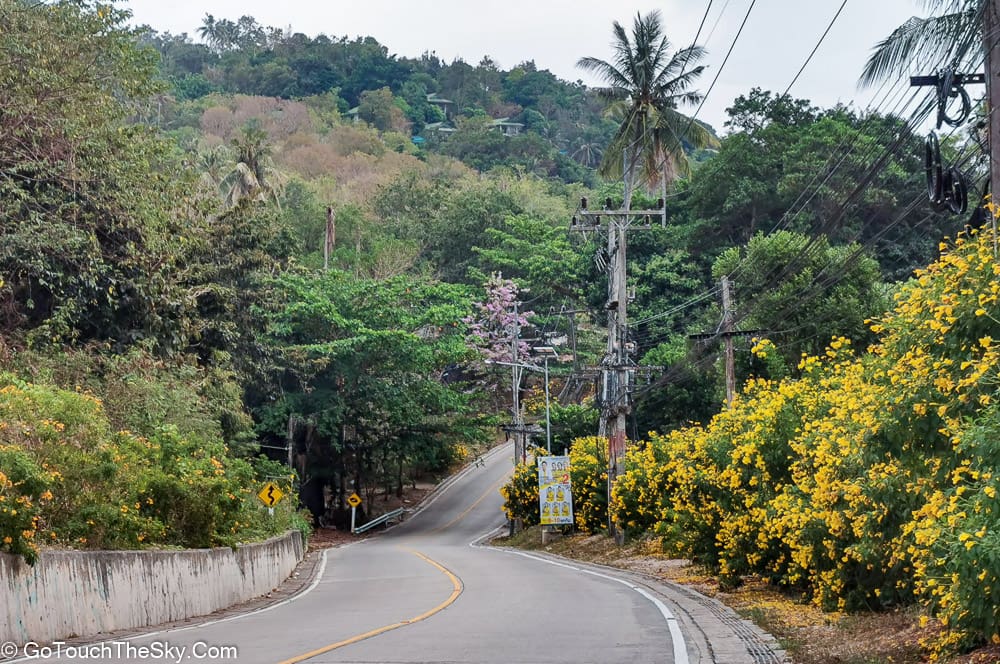 ถนนคอนกรีตสายหลักบนเกาะเต่า