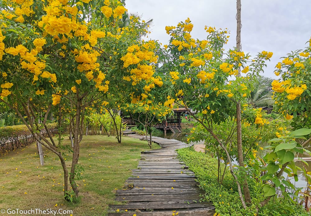 เรือนแพริมคลองจำลองวิถีชีวิตโบราณ