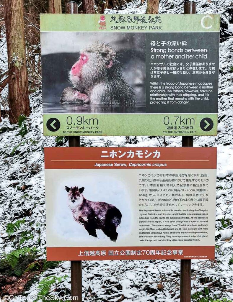 ทิวทัศน์หุบเขาระหว่างทางเดิน