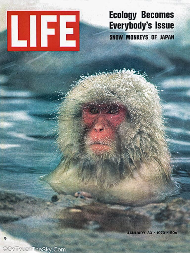 ลิงหิมะปกลูกนิตยสาร LIFE ฉบับมกราคม 1970