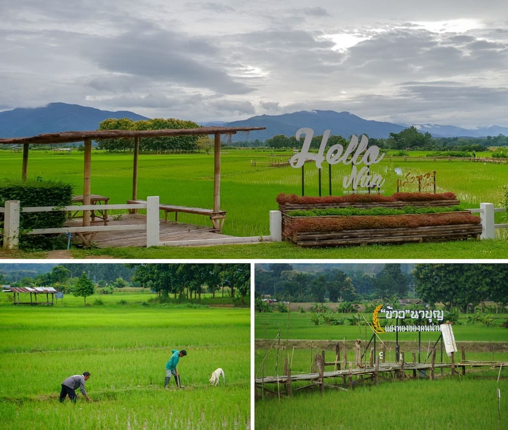 แสงทองรีสอร์ทท่ามกลางท้องทุ่งนาเขียวขจี