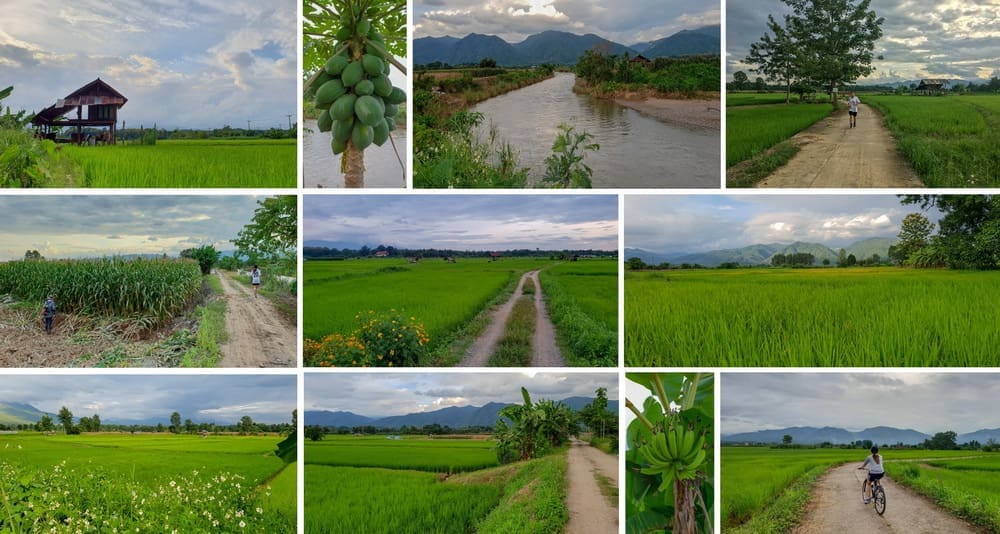 บรรยากาศเส้นทางปั่นจักรยานยามเช้า