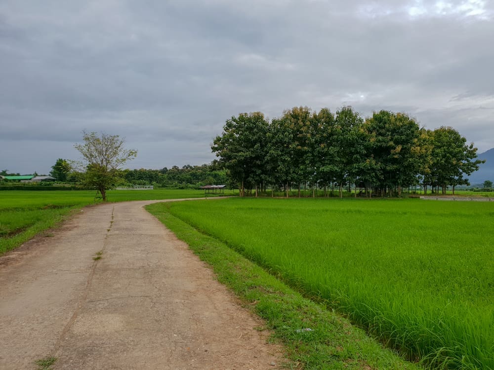 เส้นทางเดินเล่นและปั่นจักรยานท้องทุ่งนา