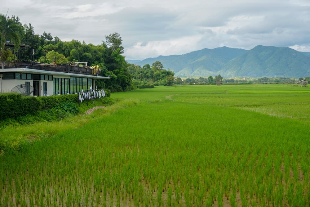 ทิวทัศน์สุดท้ายก่อนเดินทางกลับ