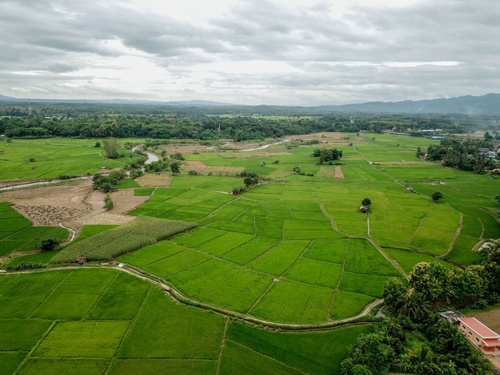 เส้นทางปั่นจักรยานท่ามกลางท้องทุ่งนา