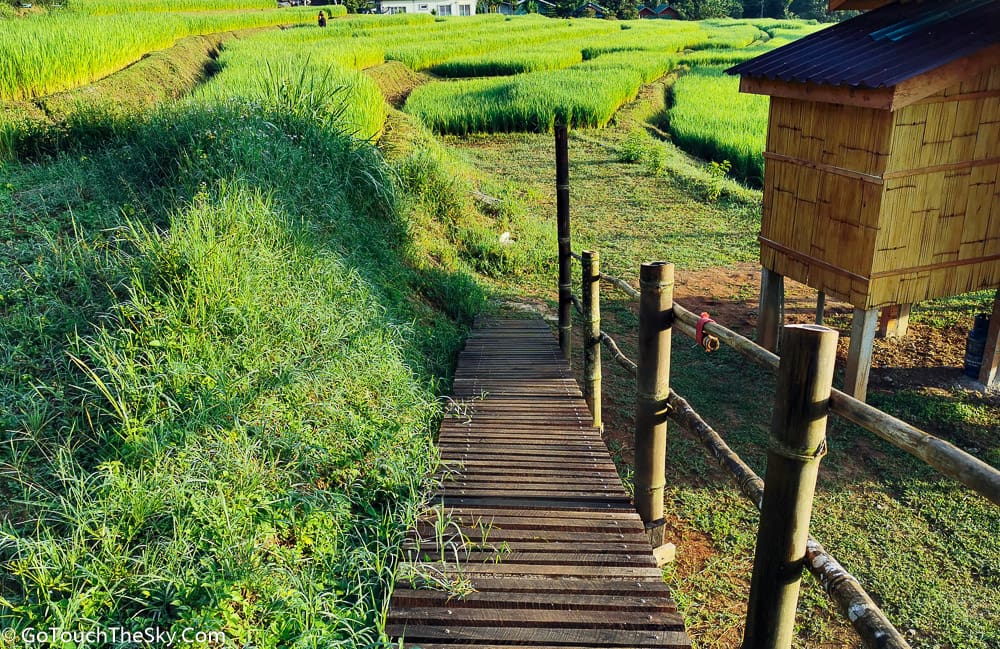 ทางเดินเลียบแปลงนาขั้นบันได