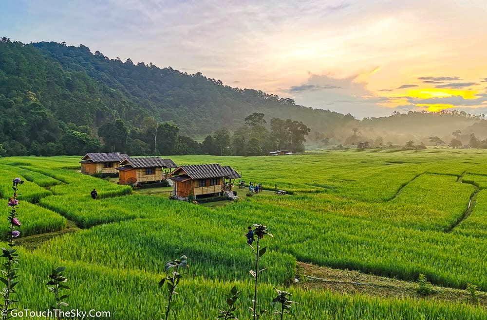 ทิวทัศน์นาข้าวยามเช้าตรู่