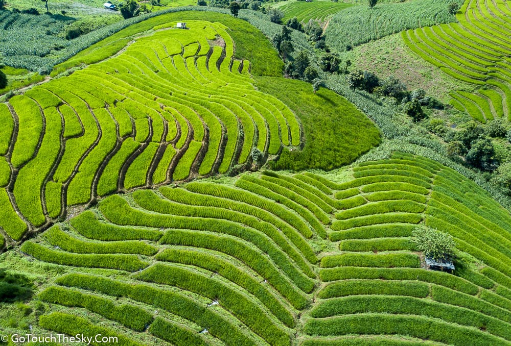 นาขั้นบันไดสีเขียวขจีสวยงาม
