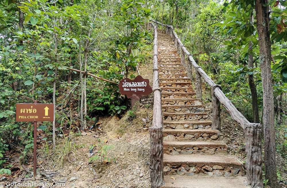 ทิวทัศน์ธรรมชาติระหว่างทางเดิน