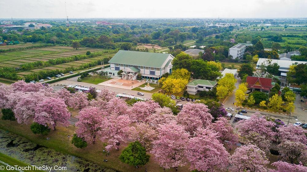 บรรยากาศเงียบสงบยามเช้าตรู่