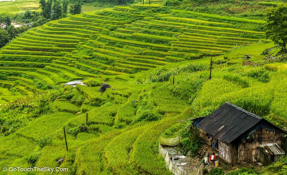 วิวนาขั้นบันไดสวยงาม