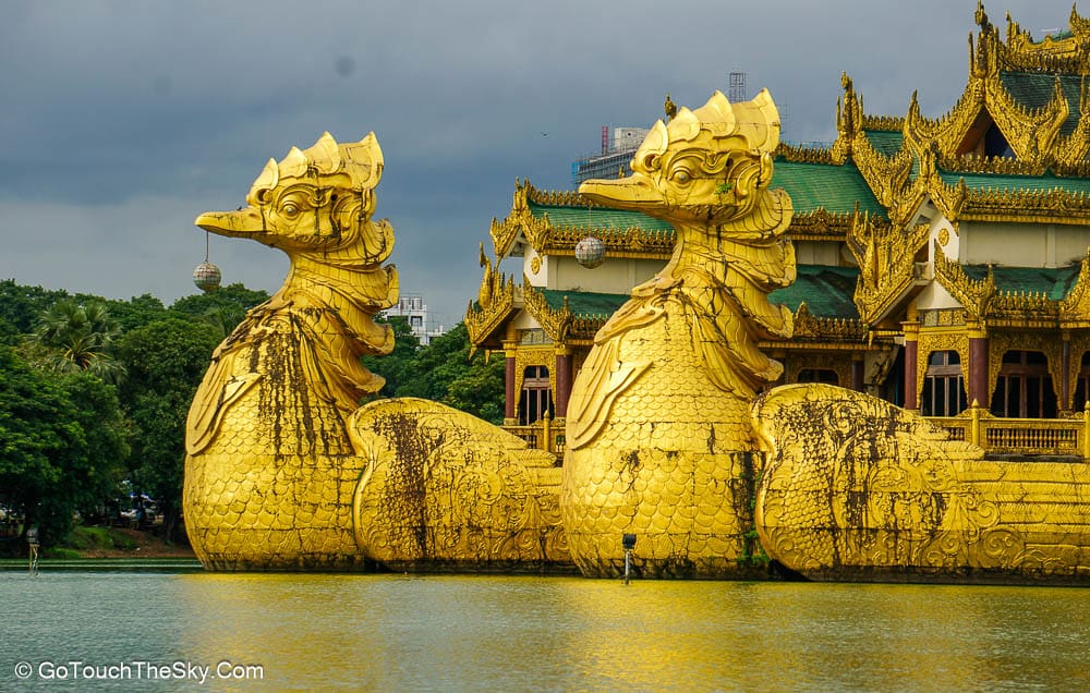 นกการะเวกสีทองสัญลักษณ์ภัตตาคาร