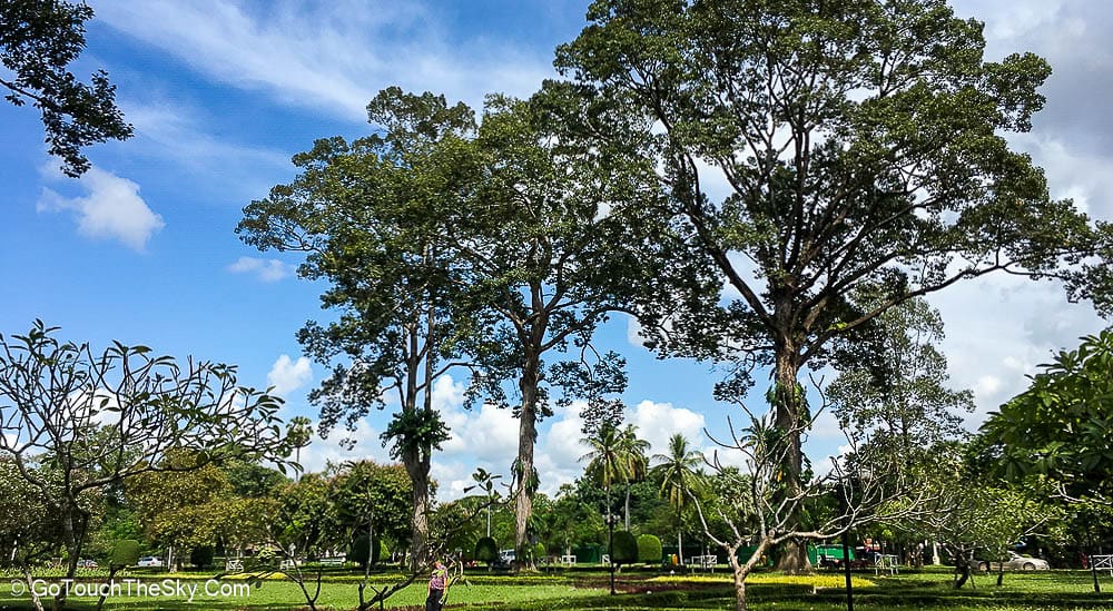 สวนสาธารณะ Royal Garden เสียมเรียบ