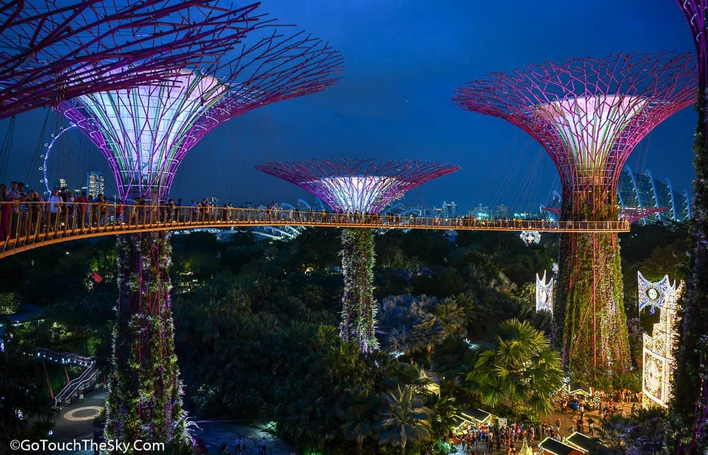 ทิวทัศน์รอบ Supertrees Grove
