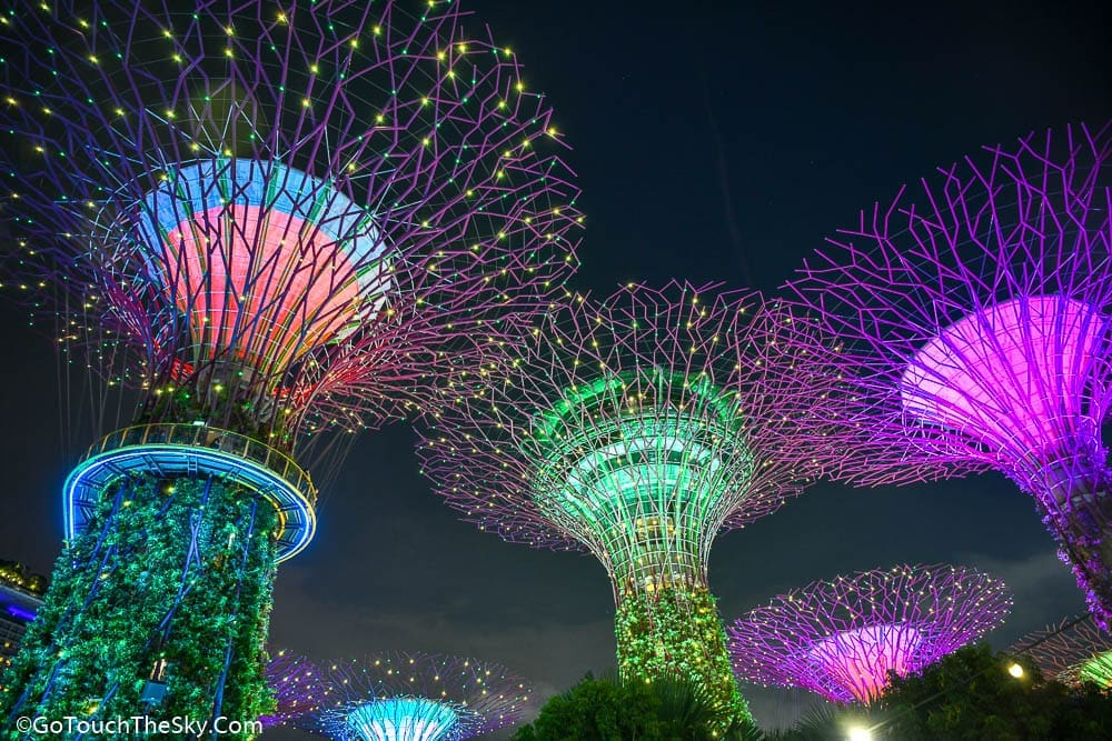 Supertrees ประดับไฟยามค่ำ