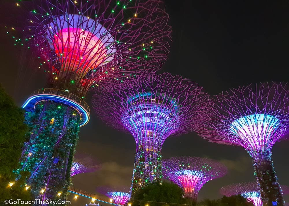 Supertrees Grove Gardens by the Bay