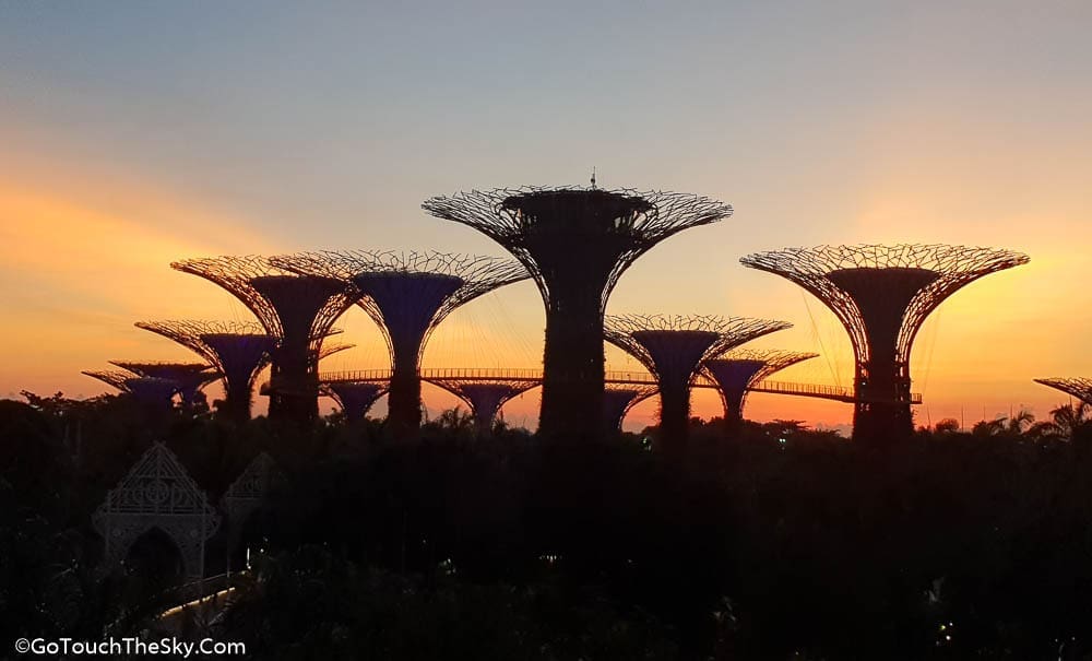 วิว Gardens by the Bay จาก Lions Bridge ตอนกลางวัน