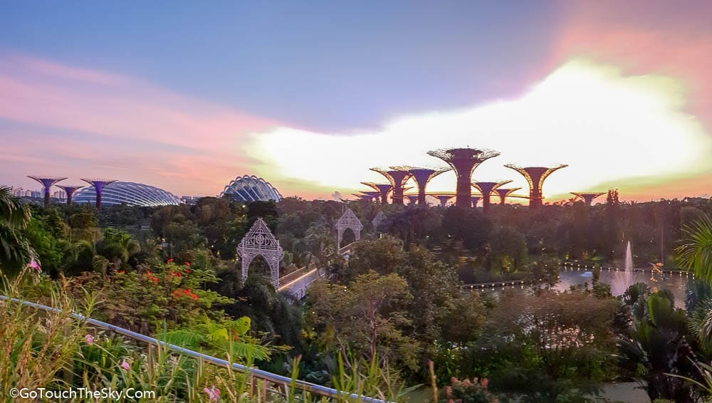 วิว Gardens by the Bay จาก Lions Bridge ตอนเย็น