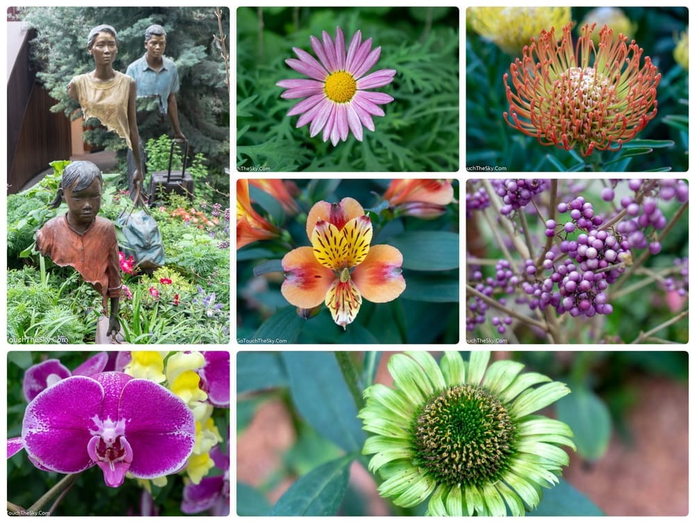 สวนดอกไม้พิเศษกลาง Flower Dome