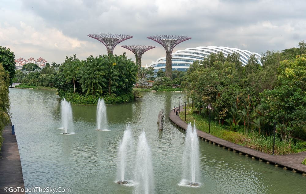 วิว Gardens by the Bay จากสะพาน Lions Bridge