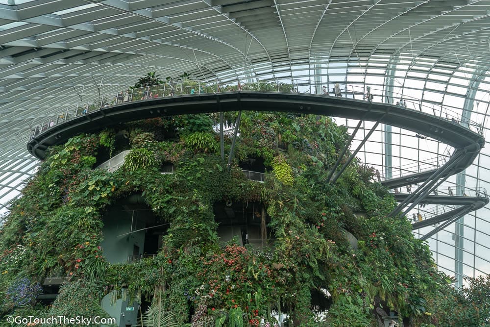 พืชพรรณหลากหลายใน Cloud Forest
