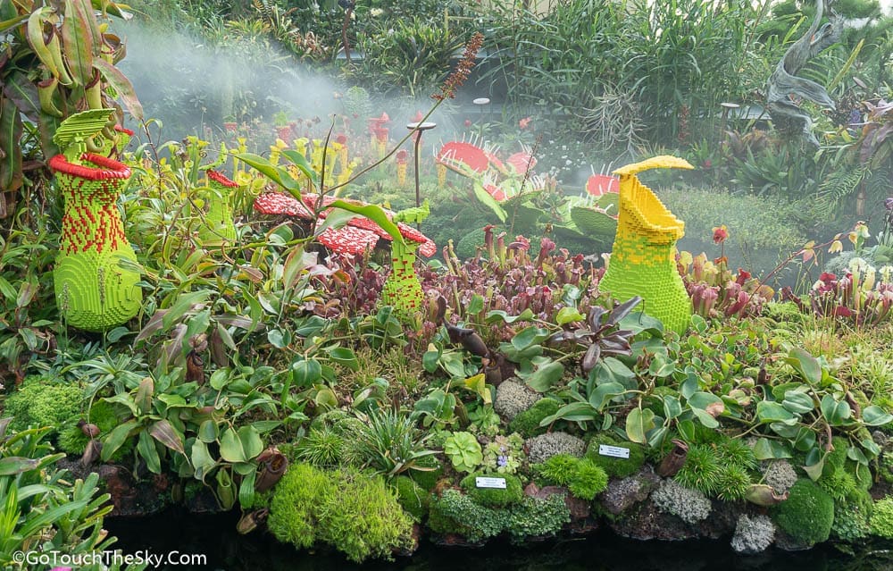 บรรยากาศโดยรวม Cloud Forest