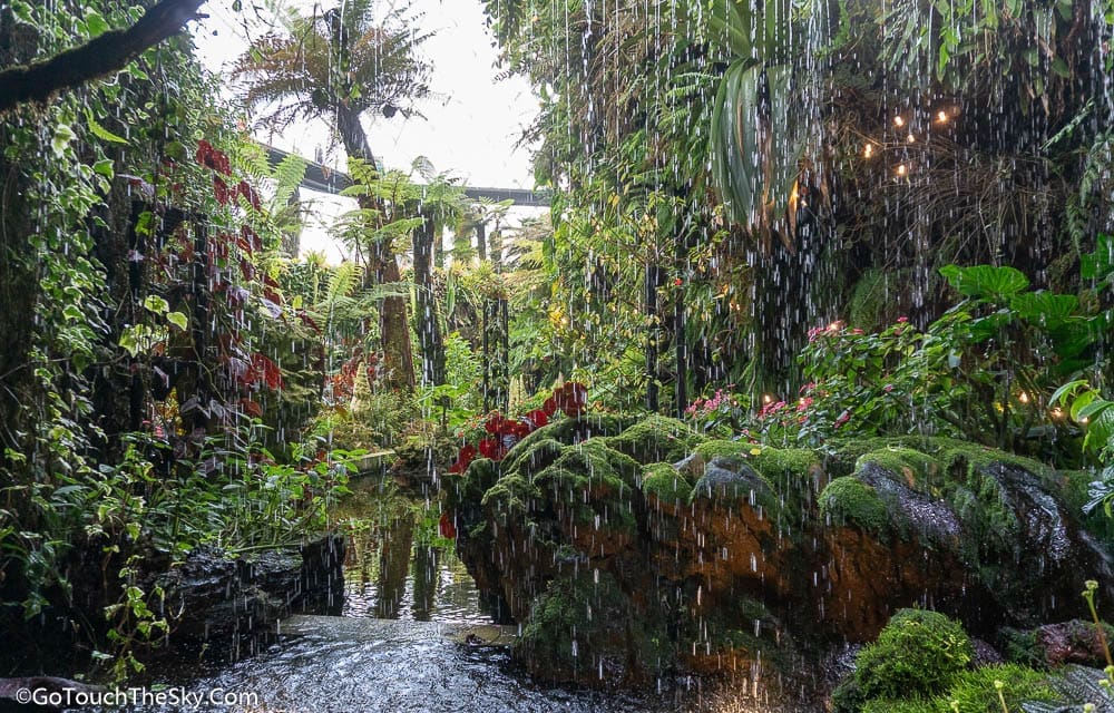 หน้าผาจำลองภายใน Cloud Forest