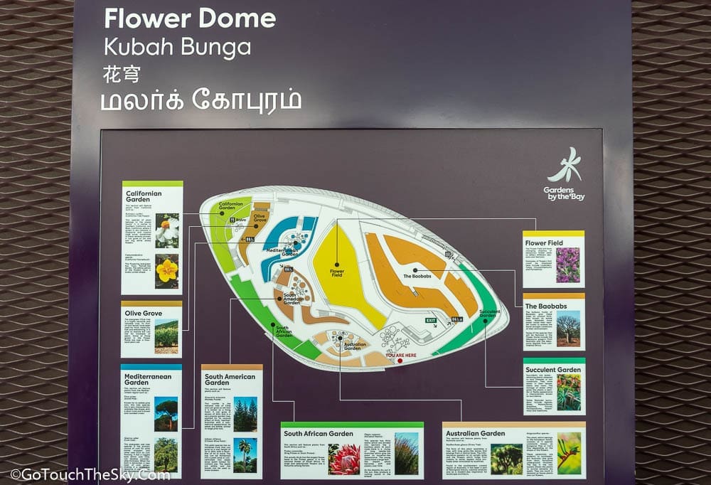 Flower Dome สิงคโปร์