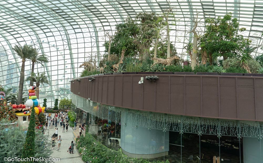 สวนออสเตรเลียใน Flower Dome