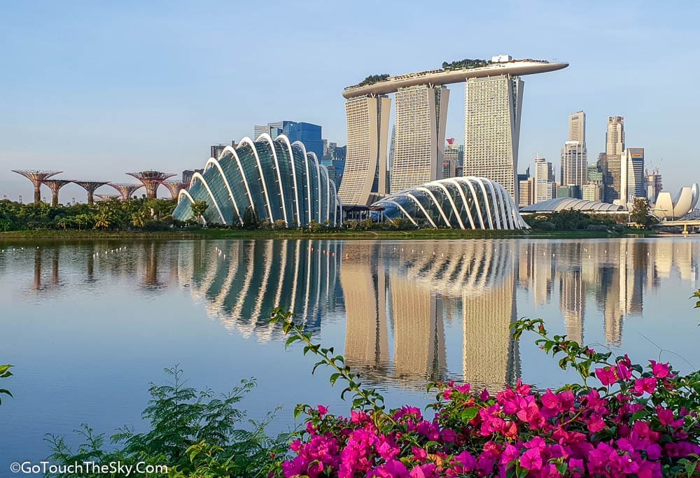 วิว Gardens by the Bay จาก Bay East