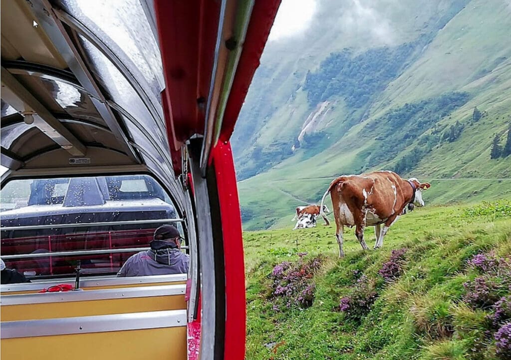 รถไฟไอน้ำ Brienz Rothorn Bahn