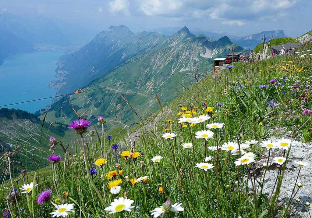 วิวโรงแรม Rothorn Kulm ยามเย็น