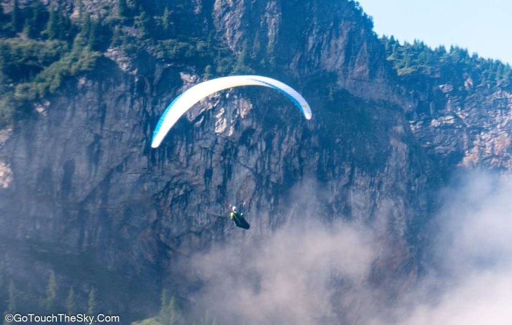 วิวป่าไม้จากกระเช้าขึ้นเขา
