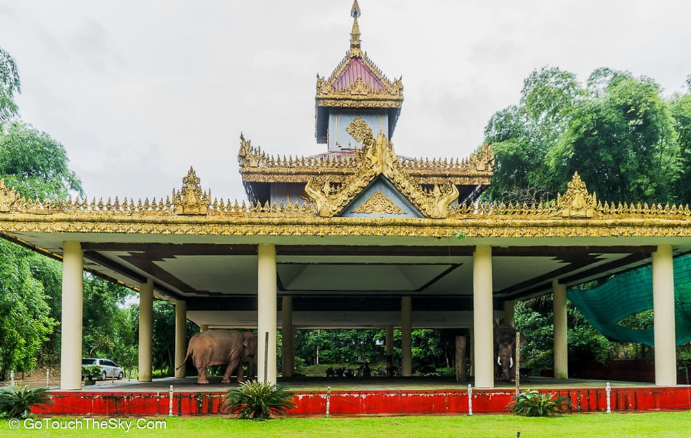 ช้างเผือกคู่บ้านคู่เมืองพม่า
