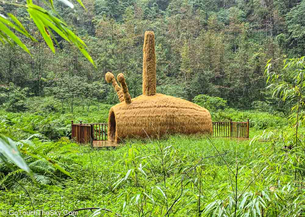 หน้าผาหินปูนสูงชันริมเส้นทาง