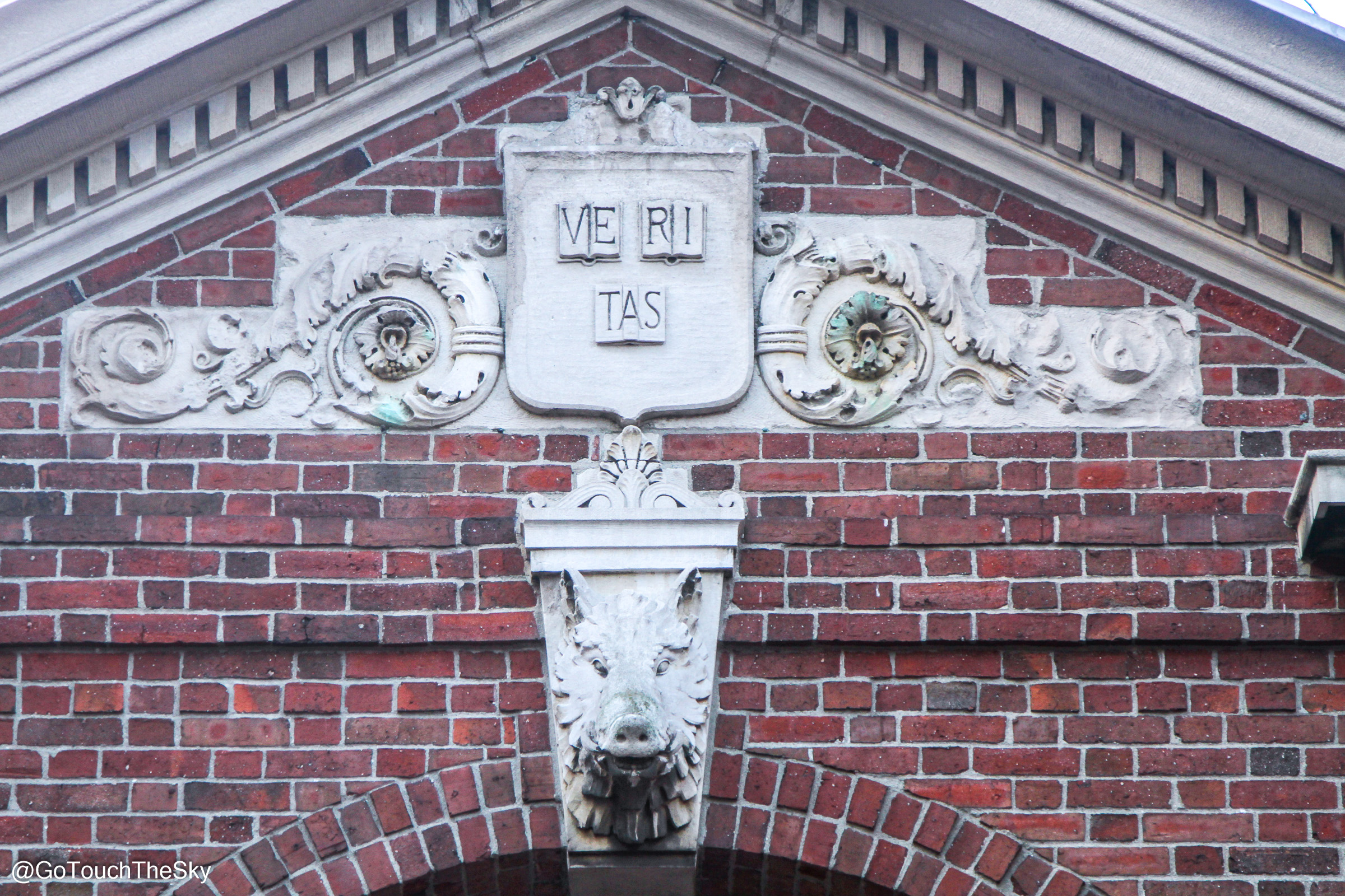 Harvard University 50