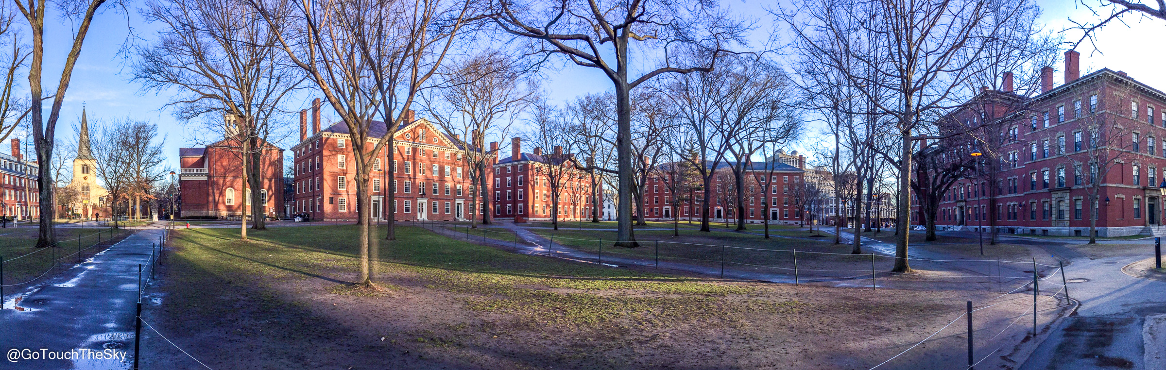 Harvard University 55